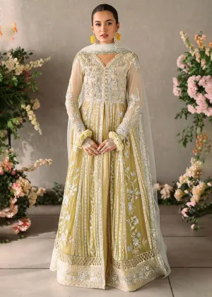 Mastani Evening Luxury Chiffon '24 by Mushq | Hira